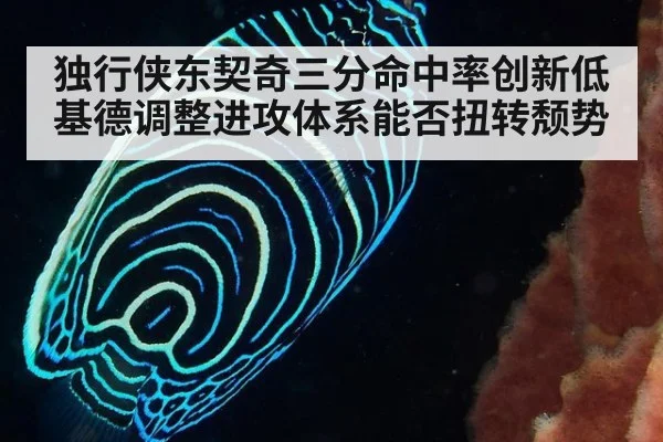 独行侠东契奇三分命中率创新低 基德调整进攻体系能否扭转颓势