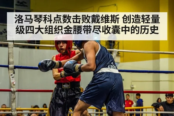 洛马琴科点数击败戴维斯 创造轻量级四大组织金腰带尽收囊中的历史